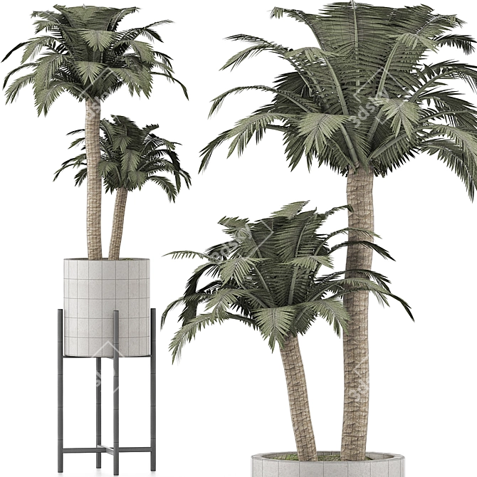 Tropical Paradise: Beach Palm Duo 3D model image 4