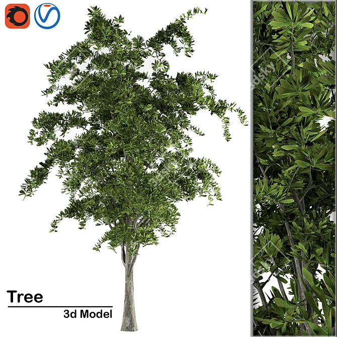 High-Quality 3D Tree Model 3D model image 1