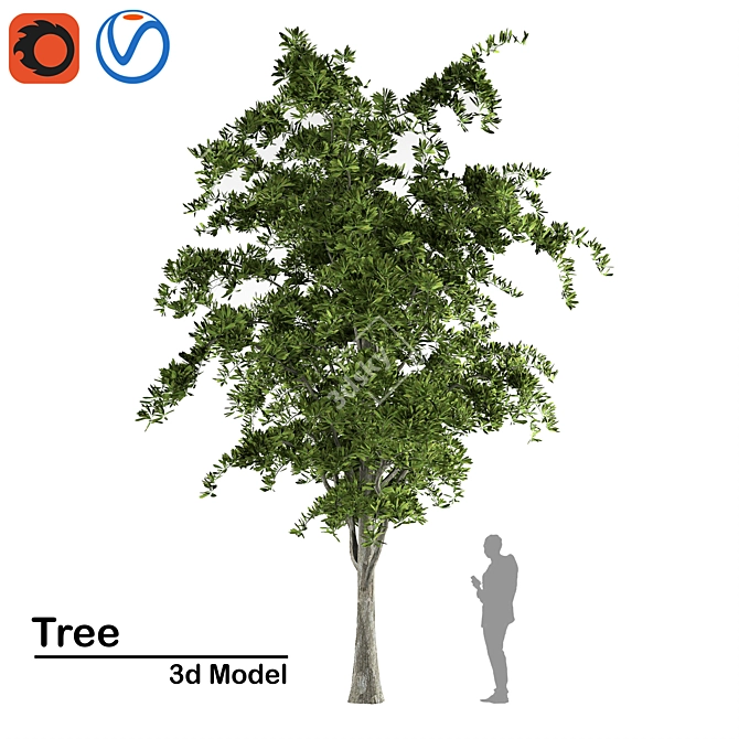 High-Quality 3D Tree Model 3D model image 2