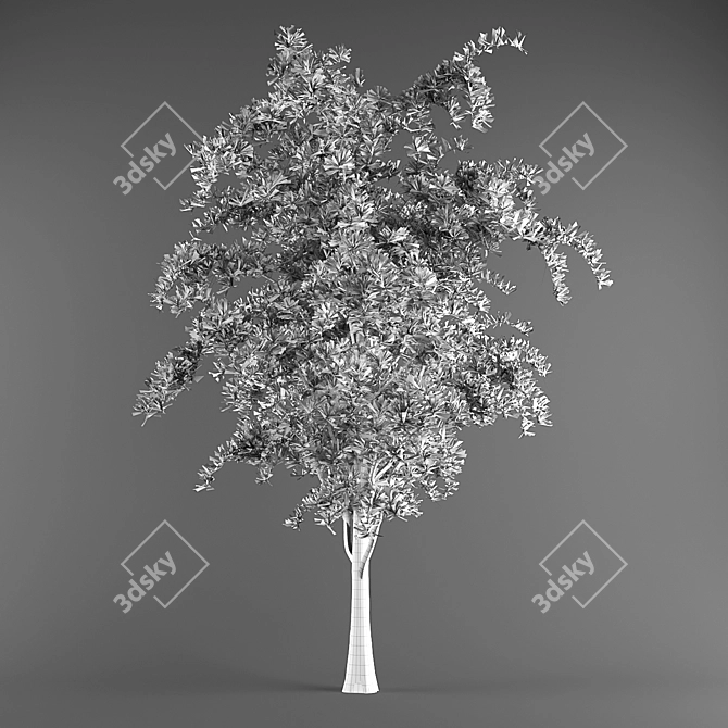 High-Quality 3D Tree Model 3D model image 3