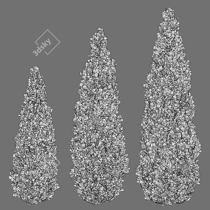 Tall Thuja Tree - Authentic and Stunning 3D model image 3