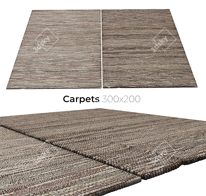 Elegant Carpets for Your Home 3D model image 1