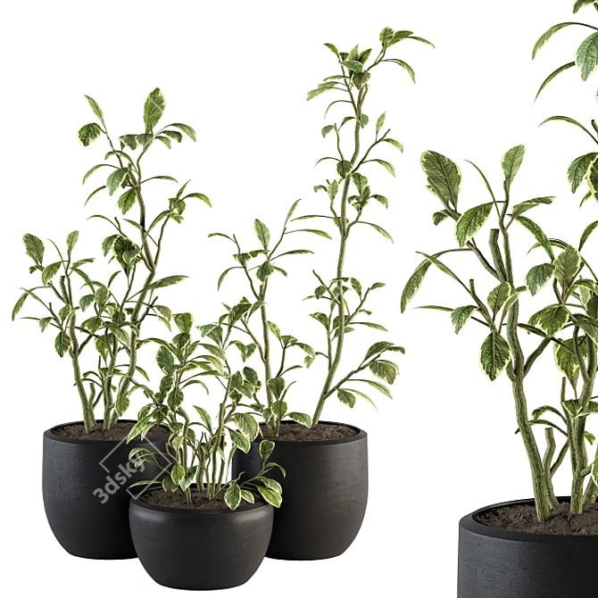 134-Piece Indoor Plant Set 3D model image 1