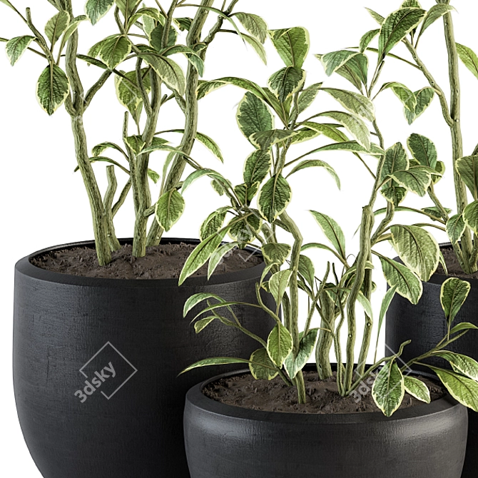 134-Piece Indoor Plant Set 3D model image 2