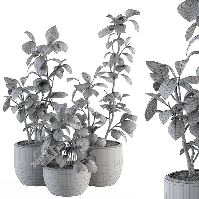 134-Piece Indoor Plant Set 3D model image 4