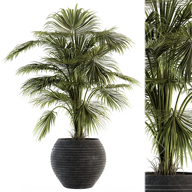 Tropical Oasis Indoor Plant Set 3D model image 1