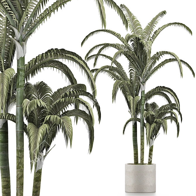 Tropical Trio: Beach and Concrete Pot Palms 3D model image 1