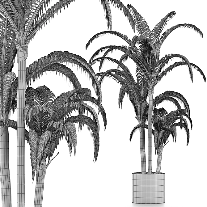 Tropical Trio: Beach and Concrete Pot Palms 3D model image 5