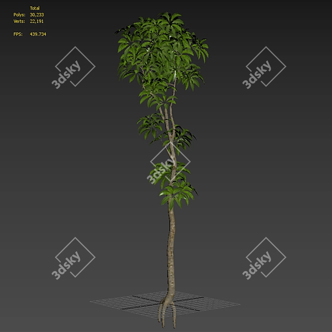  Stunning Plumeria Tree 3D Model 3D model image 2