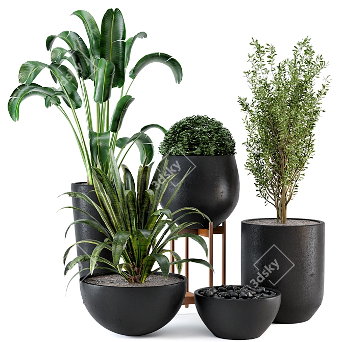 Rustic Concrete Pot Set: 25 Outdoor Plants 3D model image 1