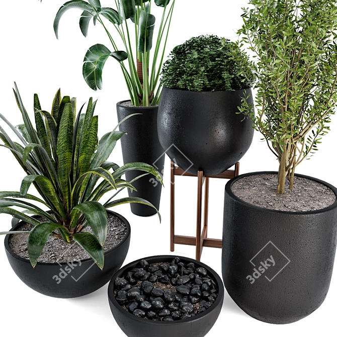 Rustic Concrete Pot Set: 25 Outdoor Plants 3D model image 2