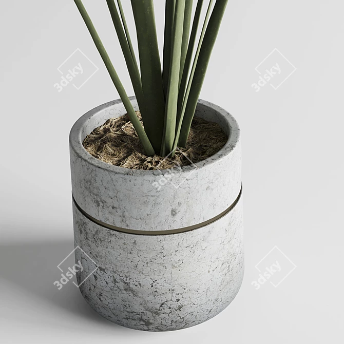 Greenery Delight: Indoor Plant 02 3D model image 2