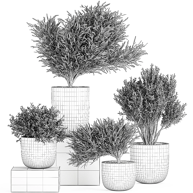 Exotic Plant Collection for Indoor and Outdoor Décor 3D model image 2