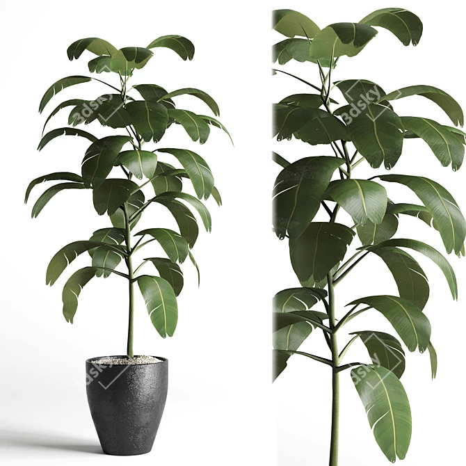 Elegant Indoor Plant Decoration 3D model image 1