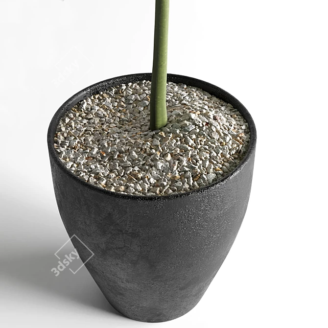 Elegant Indoor Plant Decoration 3D model image 2