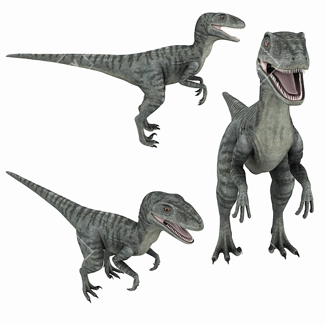 Sleek Raptor 3D Model - Perfect for Animation! 3D model image 2