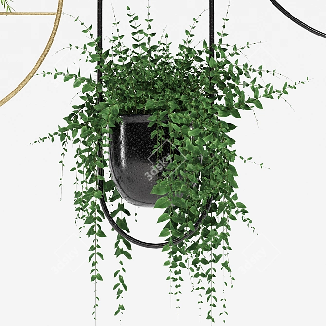 Indoor Hanging Plant Trio 3D model image 2