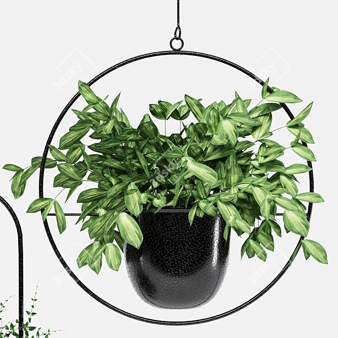 Indoor Hanging Plant Trio 3D model image 3