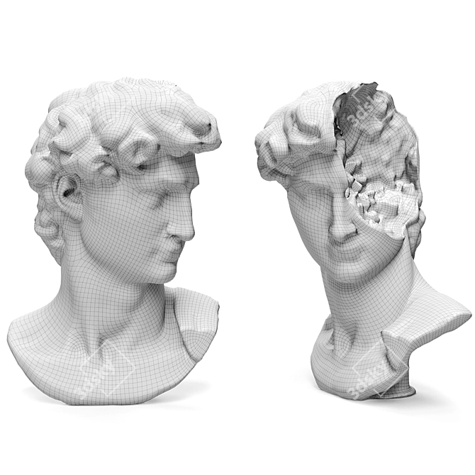 Michelangelo David Halfhead Bust 3D model image 4