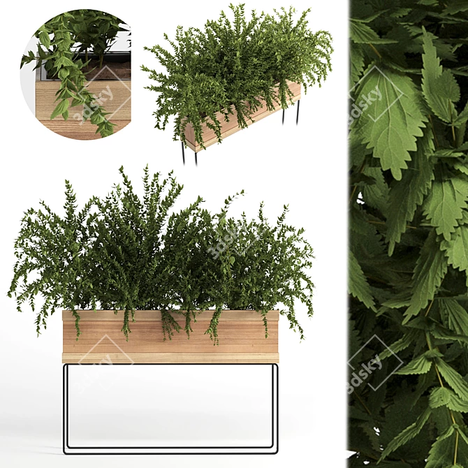 Natural Green Outdoor Plant 3D model image 1