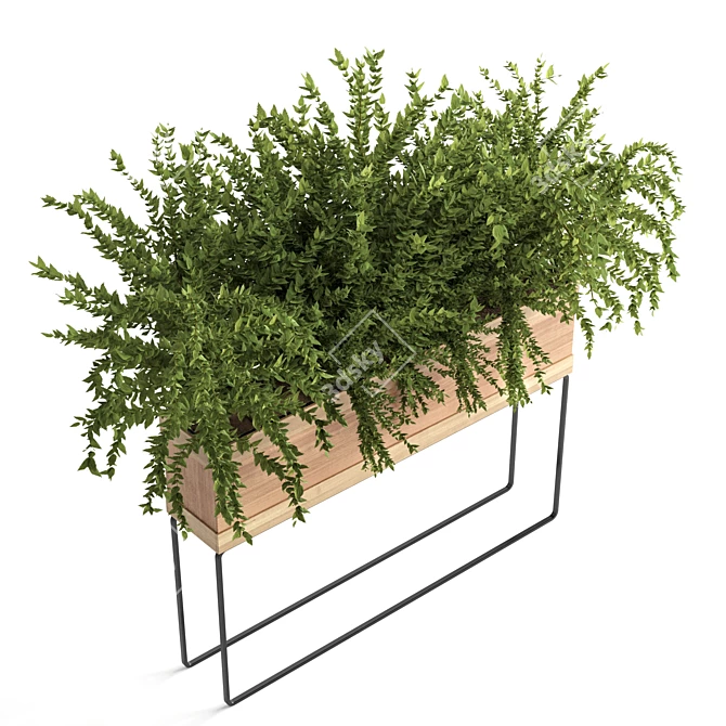 Natural Green Outdoor Plant 3D model image 2