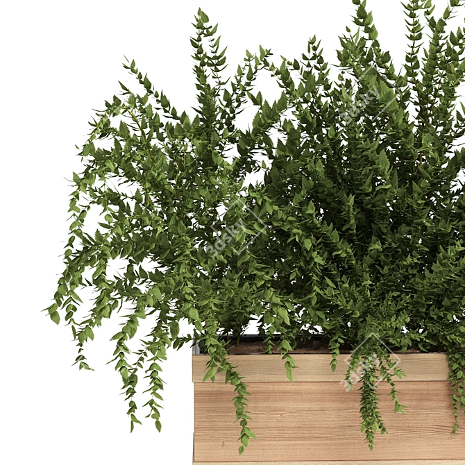 Natural Green Outdoor Plant 3D model image 3