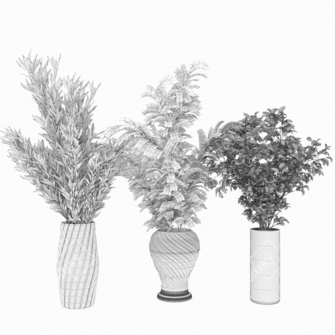 Premium Plant Collection Vol. 65 3D model image 3