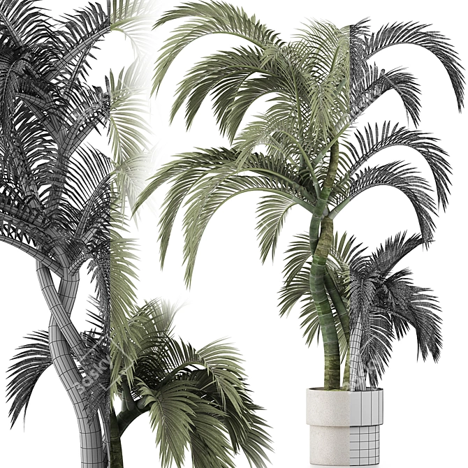 Exterior Plant Collection 137: Beach Palms 3D model image 3