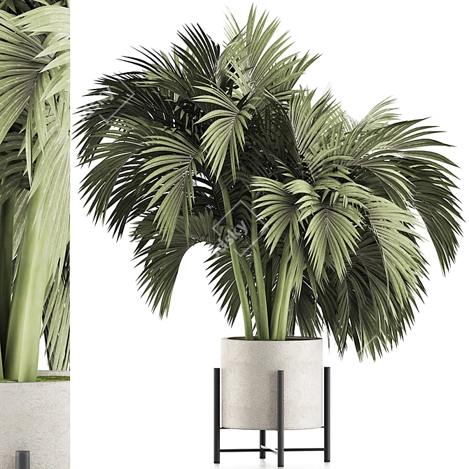 Tropical Palm Plant Collection 3D model image 1