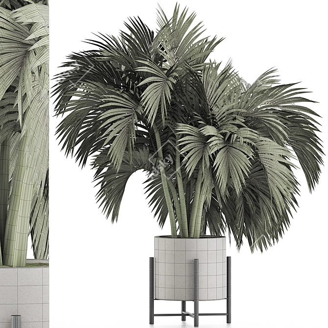 Tropical Palm Plant Collection 3D model image 4