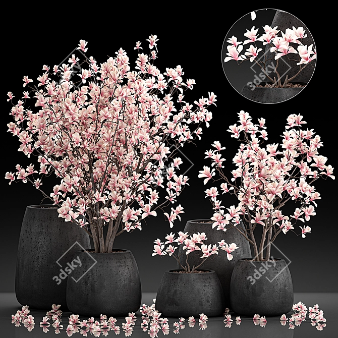 Exotic Magnolia Collection for Indoor and Outdoor Spaces 3D model image 1