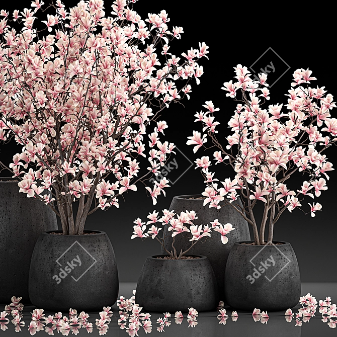 Exotic Magnolia Collection for Indoor and Outdoor Spaces 3D model image 3