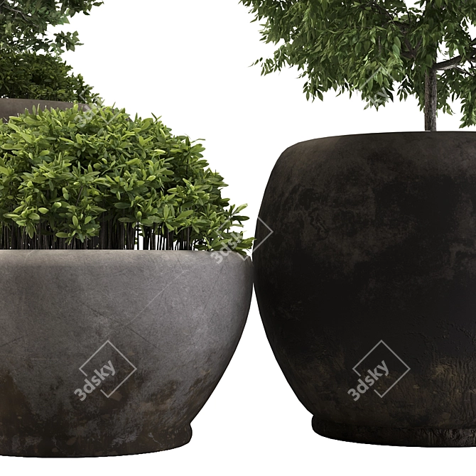 Minimal Outdoor Plant 3D Model 3D model image 2