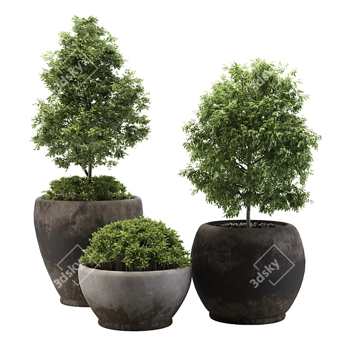 Minimal Outdoor Plant 3D Model 3D model image 5