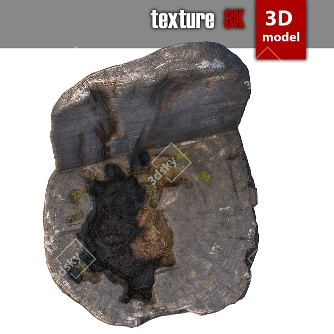 Detailed 3D Stump Model 3D model image 2