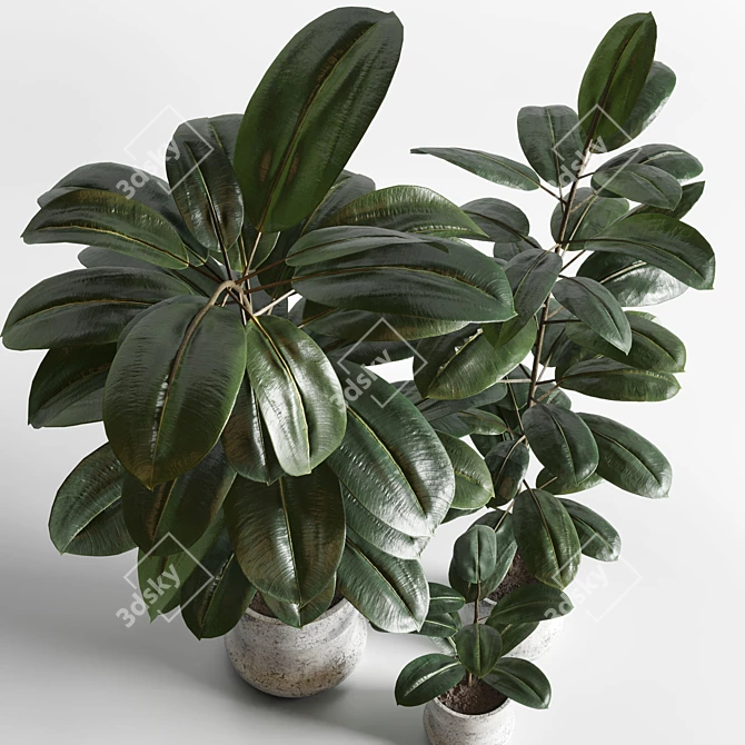 Elegant Indoor Plant Decor 3D model image 3