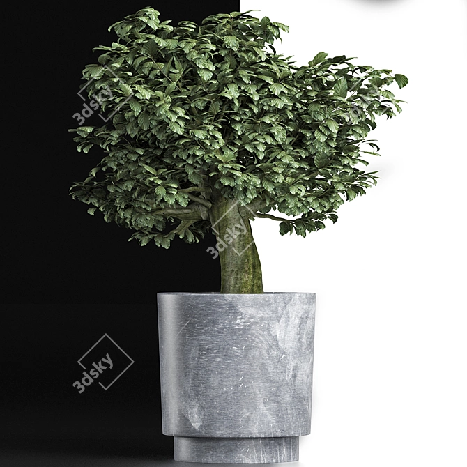 Realistic Sageretia Theezans Plant 3D model image 3