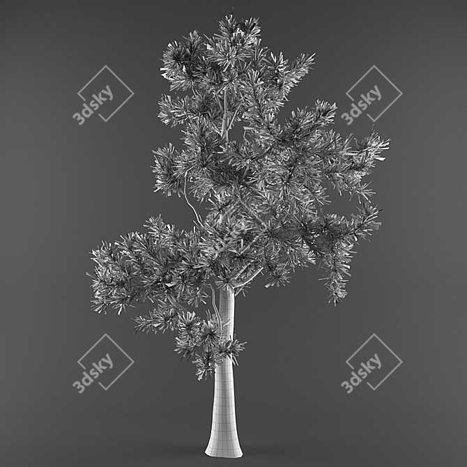 High-Quality 3D Tree Collection 3D model image 3