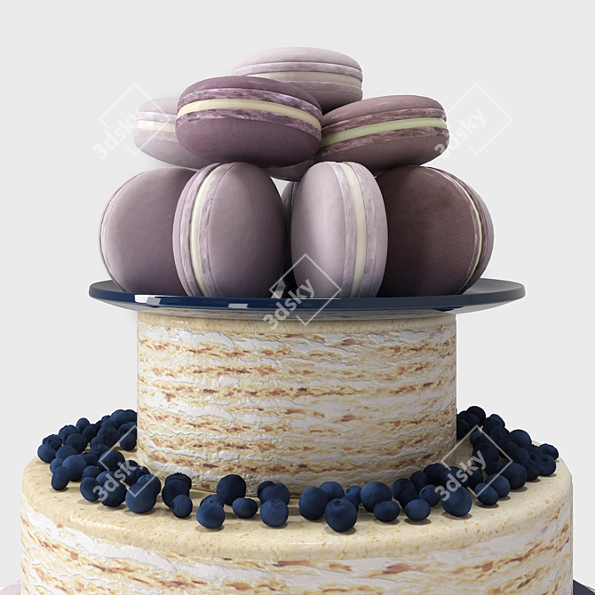 Delicious Macaroon Cake with Blueberry 3D model image 2