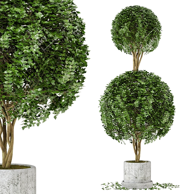 Concrete Pot Outdoor Plants - Double Ball (Set of 31) 3D model image 1