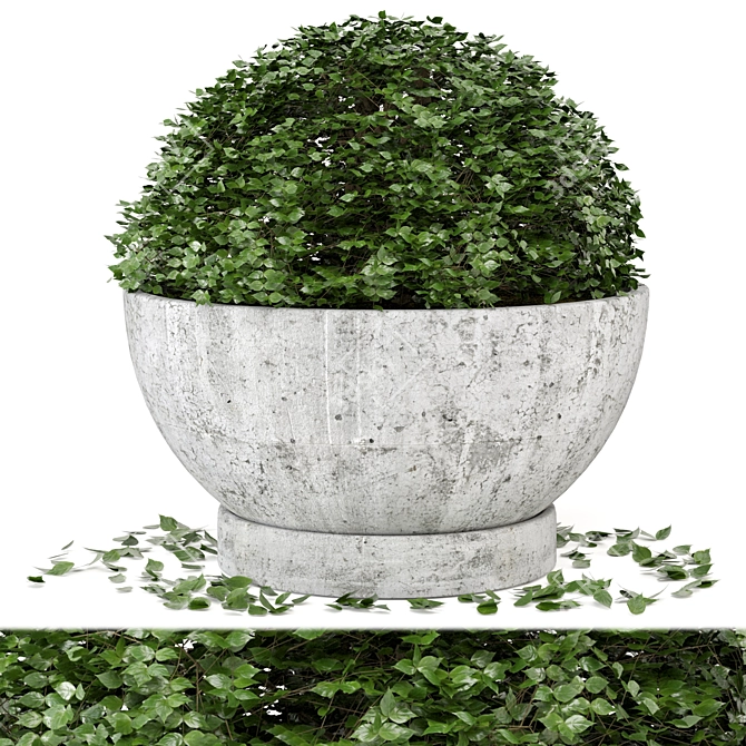 Rusty Concrete Pot Outdoor Plant Set 3D model image 1