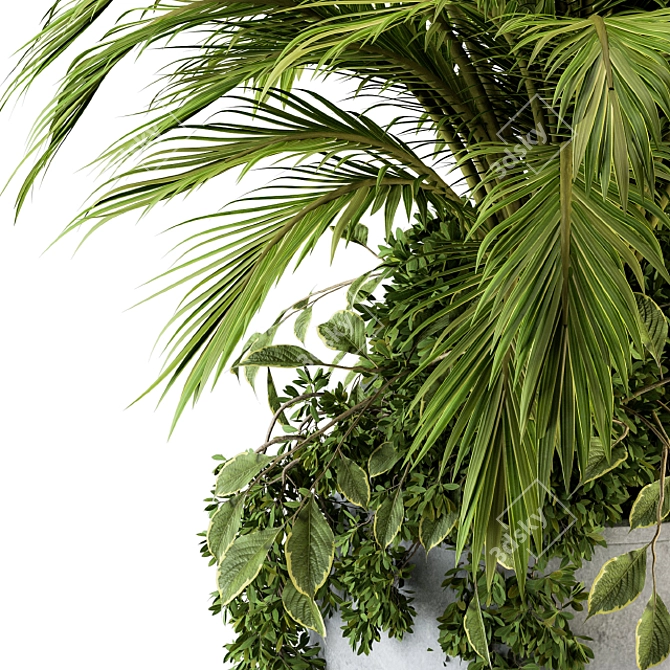 Tropical Oasis: Palm Bush Set 3D model image 3