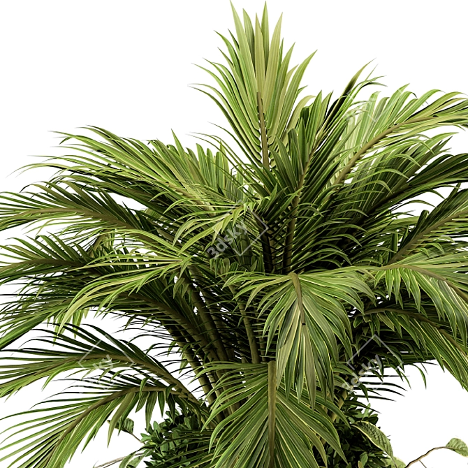 Tropical Oasis: Palm Bush Set 3D model image 4