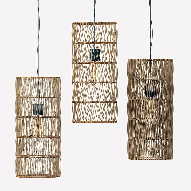 Rotang Rattan Wicker Wood Lamp 3D model image 1