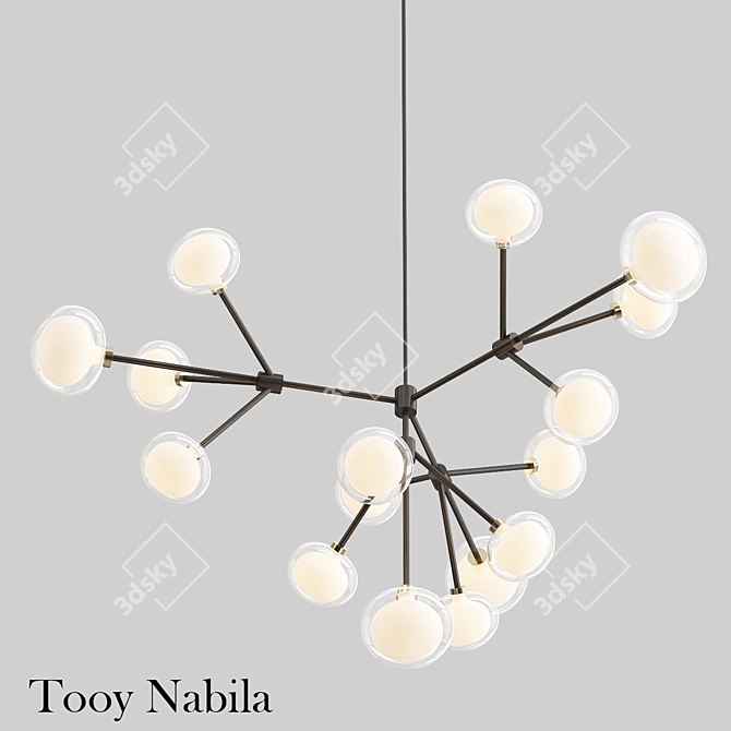 Tooy Nabila 3: Elegant 3D Model 3D model image 1