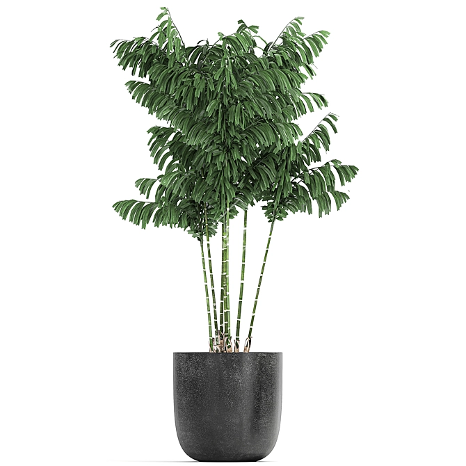 Tropical Plant Collection: Decorative Trees & Exotic Houseplants 3D model image 3