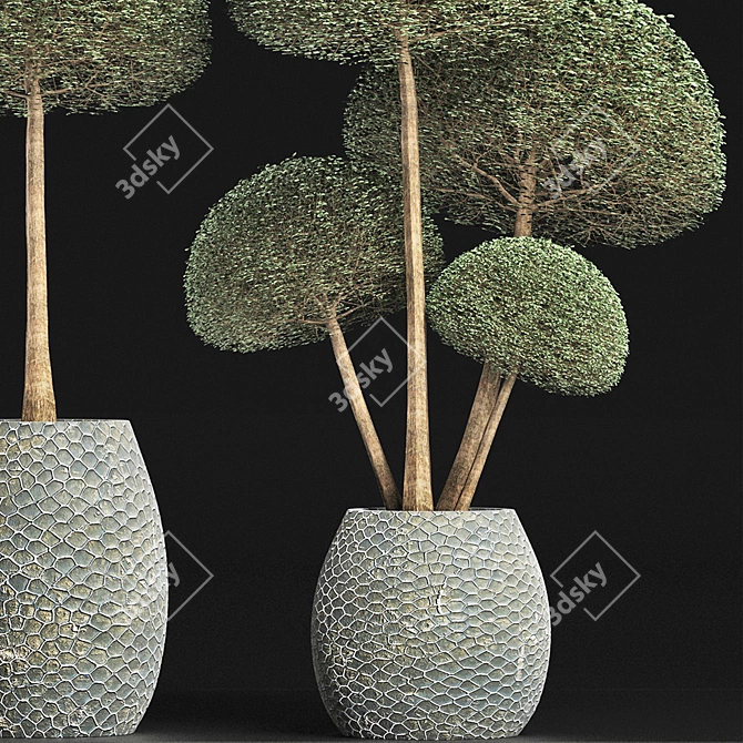 Exotic Houseplants Collection - Vray Compatible 3D model image 2