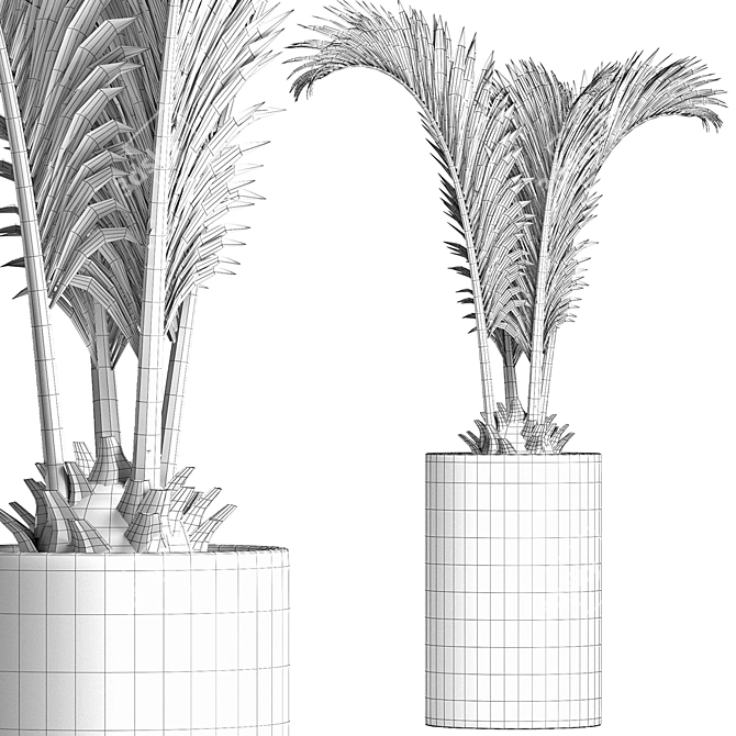 Tropical Plant Collection 155 3D model image 5