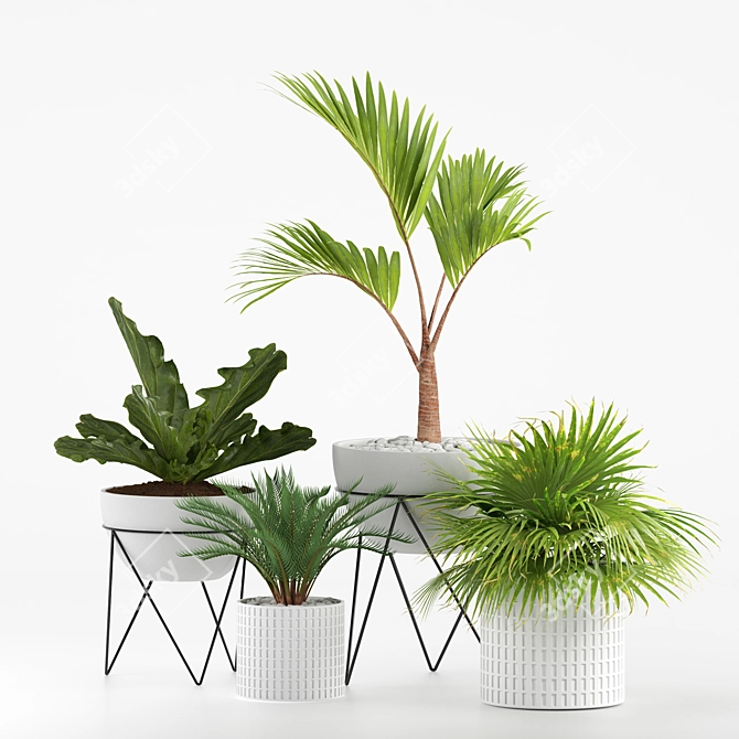 Green Oasis Plant Collection 3D model image 6