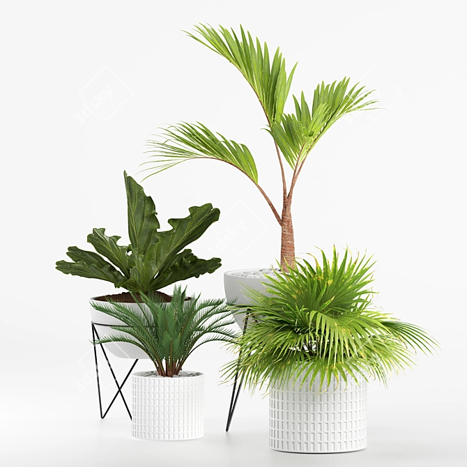 Green Oasis Plant Collection 3D model image 7